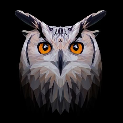 0bserving_0wl's profile picture. I see anything