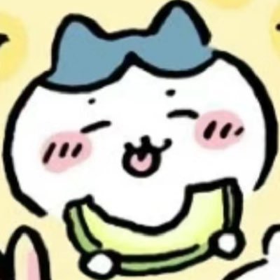 @Kita_zoey