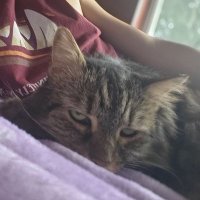Tiny Twink (@tinytwinkbones) 's Twitter Profile