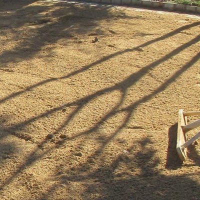 HeyIamMisato's profile picture. 