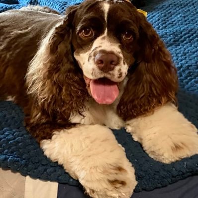 WinnenDonna's profile picture. citizen