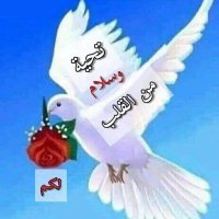 الخالد فرز مسائي 💯💯💯💯💗💯💯💯 (@alkhald_g) 's Twitter Profile Photo الخالد فرز مسائي 💯💯💯💯💗💯💯💯 (@alkhald_g) 's Twitter Profile Photo