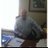 GroupHealthGuru's profile image
