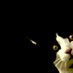 natchcatnotcat (@natchcatnotcat) Twitter profile photo natchcatnotcat (@natchcatnotcat) Twitter profile photo