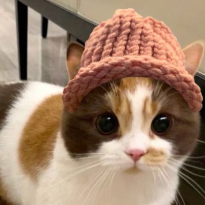 HODL CWIF because CWIF is the only deflationary memecoin!
CWIF SOL CA: 7atgF8KQo4wJrD5ATGX7t1V2zVvykPJbFfNeVf1icFv1