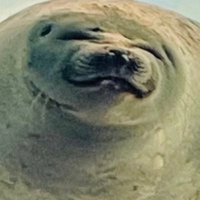 佐々木さんのプロフィール画像