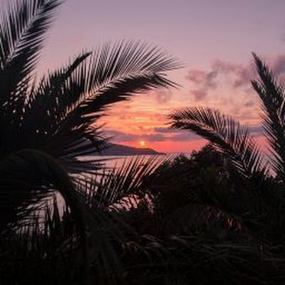 MohamedArukaan's profile picture. 