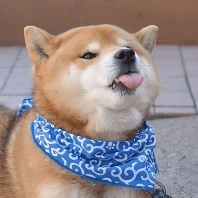 Af4Fx's profile picture. あまりつぶやきませぬ。
総合格闘家の斎藤裕氏を師と仰ぐ者です✨