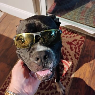 NWD066880131674's profile picture. Firm believer that it's never too late to get your shit together. Hold faith, freedom, personal responsibility, limited government & love of what we have dear.