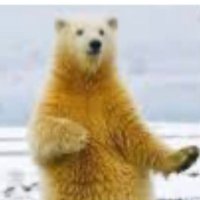 فاضل (@fl10406) 's Twitter Profile