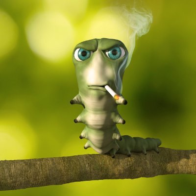 1 year of experience
posting vids with better quality in my port,
Portfolio: https://t.co/697AduyvC2