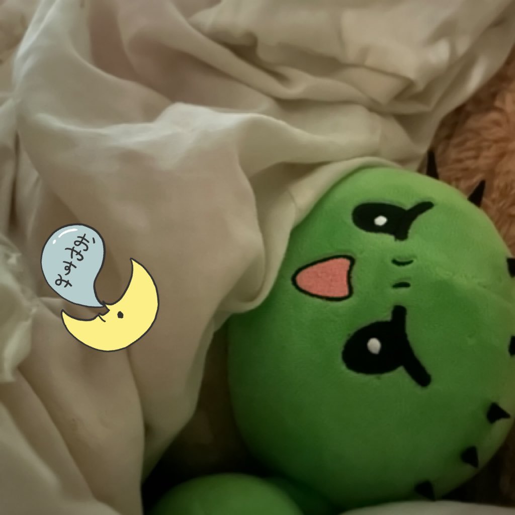 さんやばさんのプロフィール画像