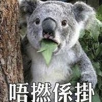 All out and laughing.eth❤️ Memecoin (@allinorcrying) 's Twitter Profile