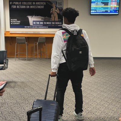 chikoblazingit's profile picture. hulking into an ai