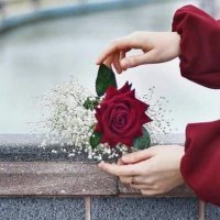 ام شادن 🇸🇦 (@h203070) 's Twitter Profile Photo ام شادن 🇸🇦 (@h203070) 's Twitter Profile Photo