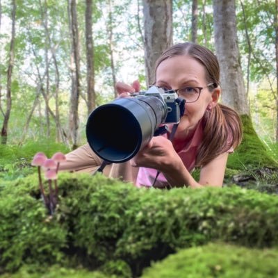 Photographer - Visual storyteller of the natural world - OM SYSTEM Ambassador - Photography Shop : https://t.co/S6gQ4idGGz