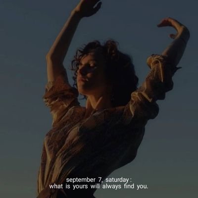 mood novella Profile