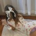 Little Baby Jade 🍼 (@littlebabiejade) Twitter profile photo Little Baby Jade 🍼 (@littlebabiejade) Twitter profile photo