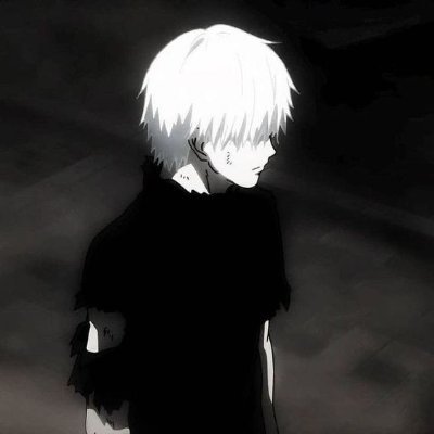NotPapillon503 Profile