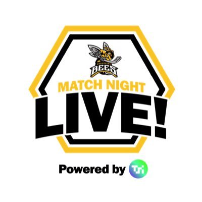 Bees Match Night Live - providing live streams and match night updates for the TSI World Berkshire Bees ice hockey club 🐝