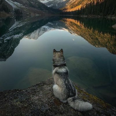 Roland979's profile picture. Arreglando este desastre un día a la vez