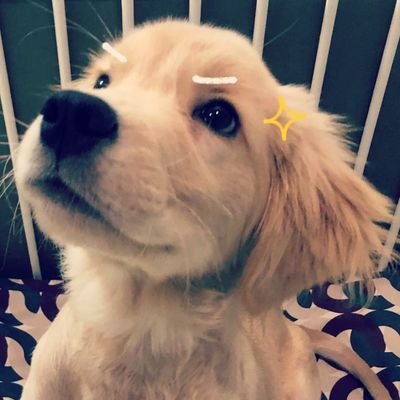 Zxmssn3's profile picture. 