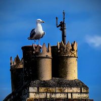 HarvisterC (@harvisterc) 's Twitter Profile