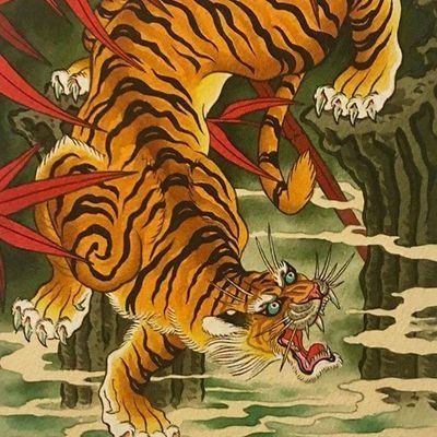 nik15298's profile picture. Just here for free speech