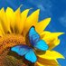 🌻آفتابگردون (@ssonnenblumeen) Twitter profile photo 🌻آفتابگردون (@ssonnenblumeen) Twitter profile photo