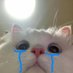 🐈⬛ (@yourbaeborbell) Twitter profile photo 🐈⬛ (@yourbaeborbell) Twitter profile photo