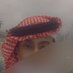 ابو وضحى (@mh__mda) Twitter profile photo ابو وضحى (@mh__mda) Twitter profile photo