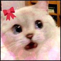 Eponicorn (@eponicorn) 's Twitter Profile Photo Eponicorn (@eponicorn) 's Twitter Profile Photo