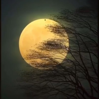 Abdoula50573735's profile picture. 