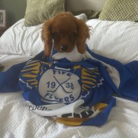 Roslyn (@rosslyn72) 's Twitter Profile Photo Roslyn (@rosslyn72) 's Twitter Profile Photo