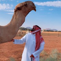 سلمان اليحيا (@slman_alyahya) Twitter profile photo