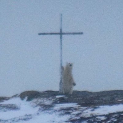 ikeahotdogsval's profile picture. ✞🤍