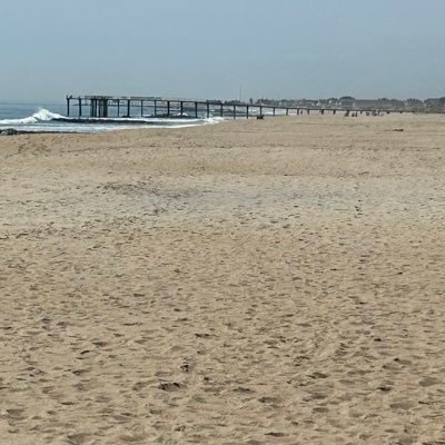 Andrew13383067's profile picture. On the right and I’ll hear you out. I love America and common sense. love Notre dame football, but I’m not a catholic.  I just believe in high standards