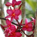 Alba Barros - @Danialba - Twitter