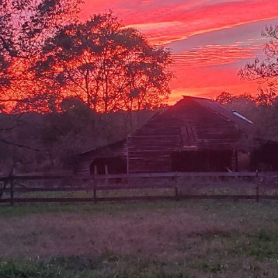 Accredited Equity Investor designing a Wedding and Events Barn, and vacation rentals. into Fitness, Nature, Music/Piano,
Georgia Bulldogs