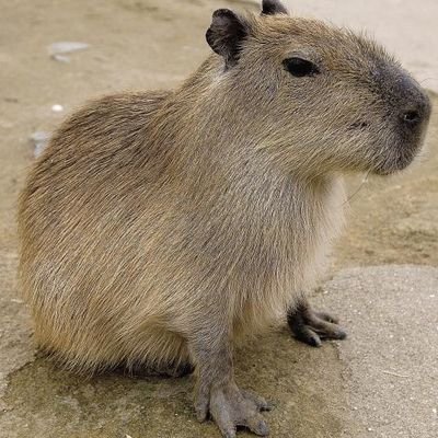 youku313's profile picture. 