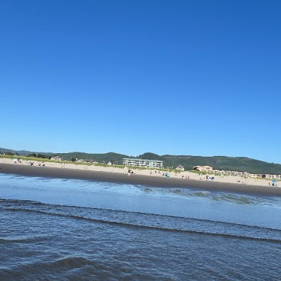 devinjvaughn's profile picture. Mariners frustration account.