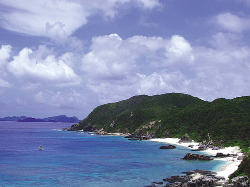 CarynRandall's profile picture. 