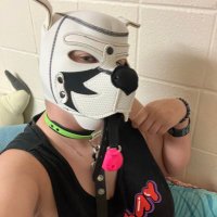πPup Vex - C0MMS OPENπAC25 (@honeybeead) 's Twitter Profile Photo πPup Vex - C0MMS OPENπAC25 (@honeybeead) 's Twitter Profile Photo