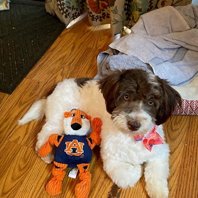 BuieSusie87485's profile picture. 