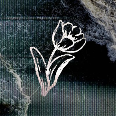 undrcrntco's profile picture. multimedia collective

new soon