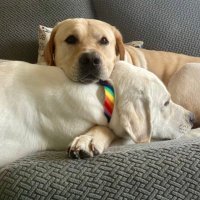 tracey (@tregarf24) 's Twitter Profile