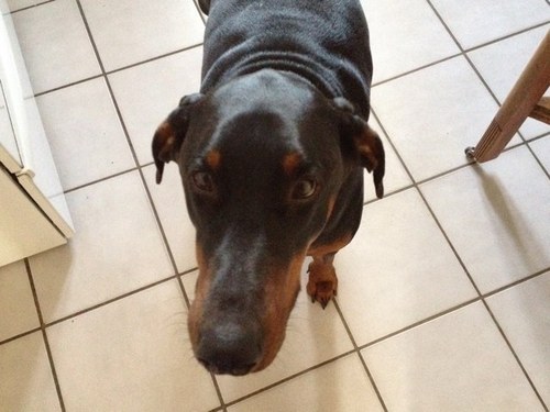 sean8204's profile picture. 