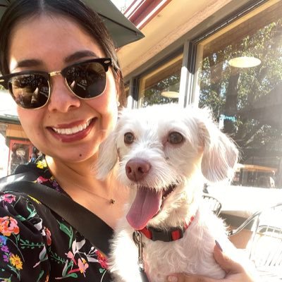 B23CARZ's profile picture. This is pretty much just a dog account