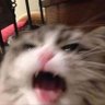 len_do0's profile picture. 𝚗𝚌𝚝