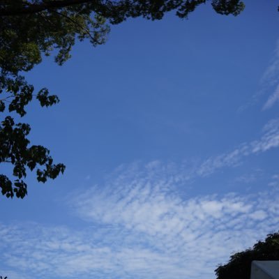 174/51 27未成年❌ 電話❌ デカチン見ると興奮します チン凸 見せ合い何時でも募集! 見られたがりです🔥反応してくれると嬉しいです!